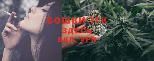 дживик Балахна