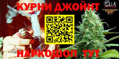 apvp Лесосибирск