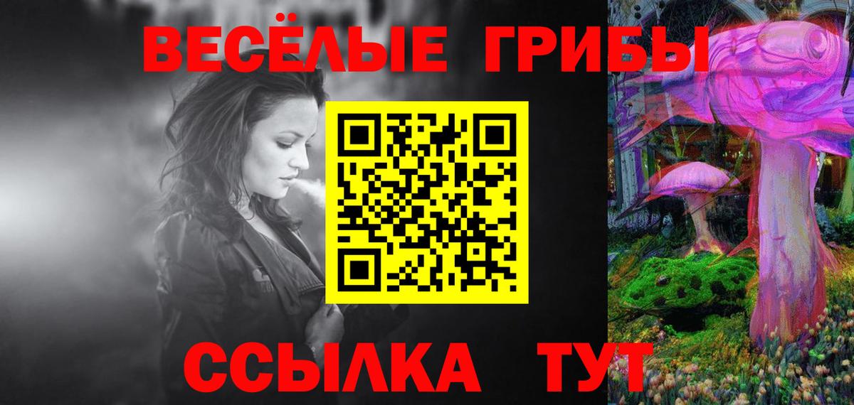 Псилоцибиновые грибы Psilocybine cubensis  Вход с VPN  Усть-Джегута  Галлюциногенные грибы прущие грибы 