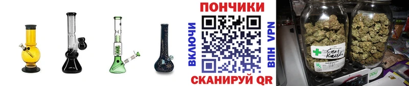 цена наркотик  Усть-Джегута  Бошки марихуана Ganja 